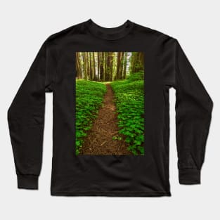 Redwood Forest Path Long Sleeve T-Shirt